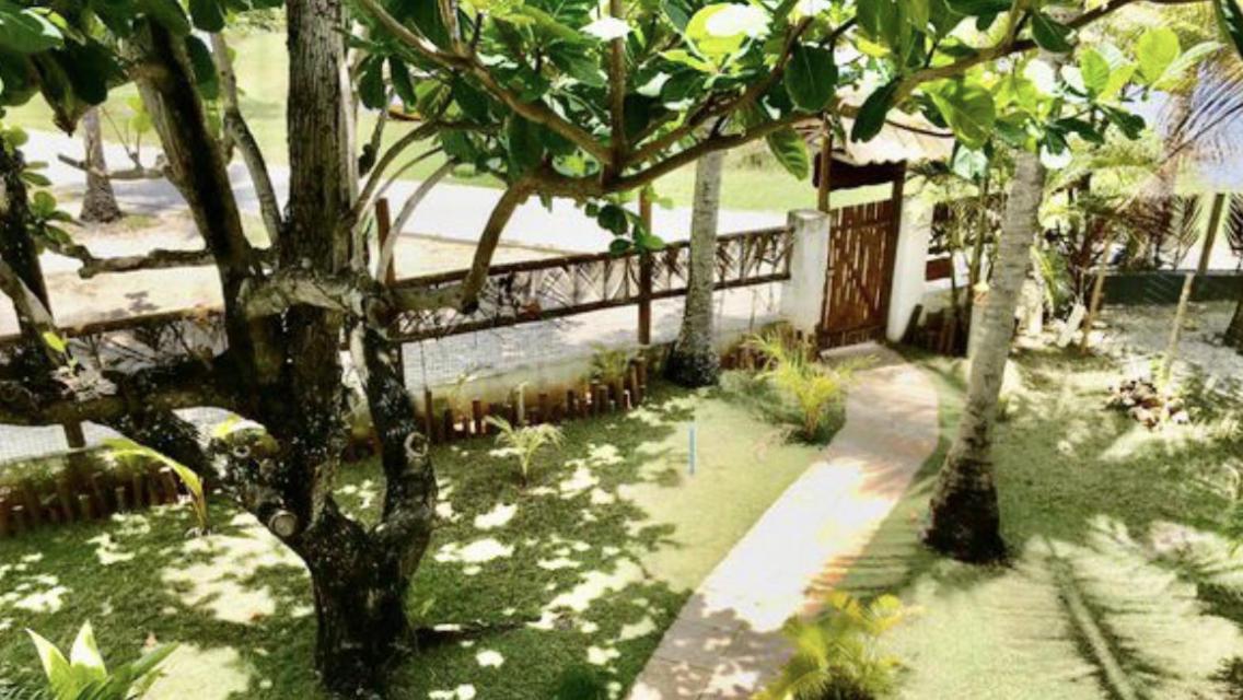 Paradise House Villa Imbassaí
